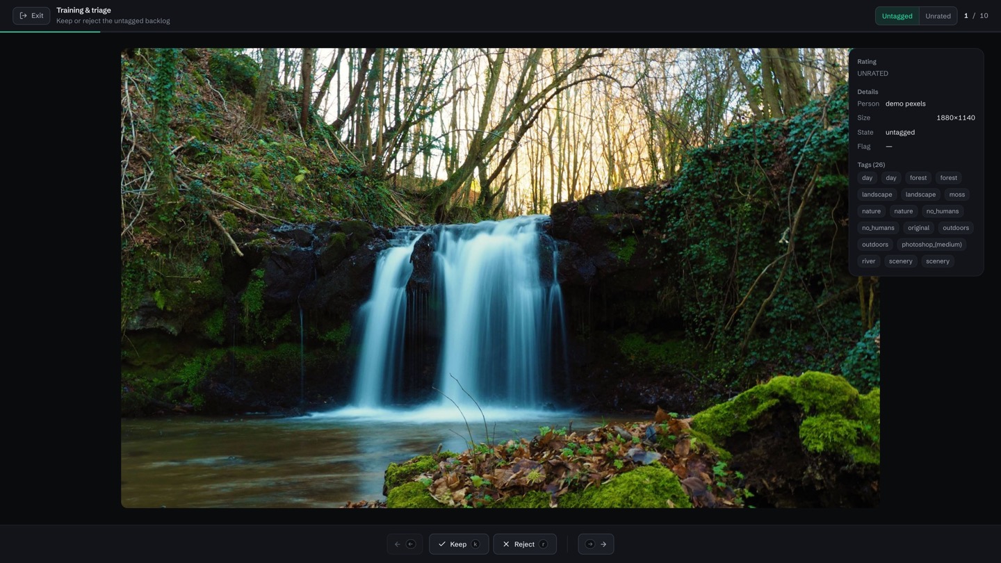 Tessera training mode with keep and reject controls that learn your taste